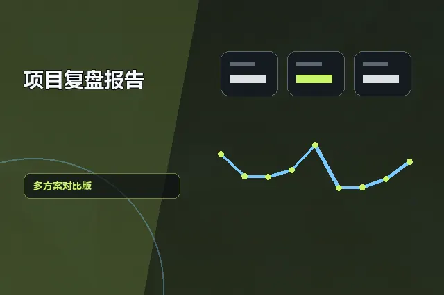 项目复盘报告：多方案对比版 的原创主题效果图